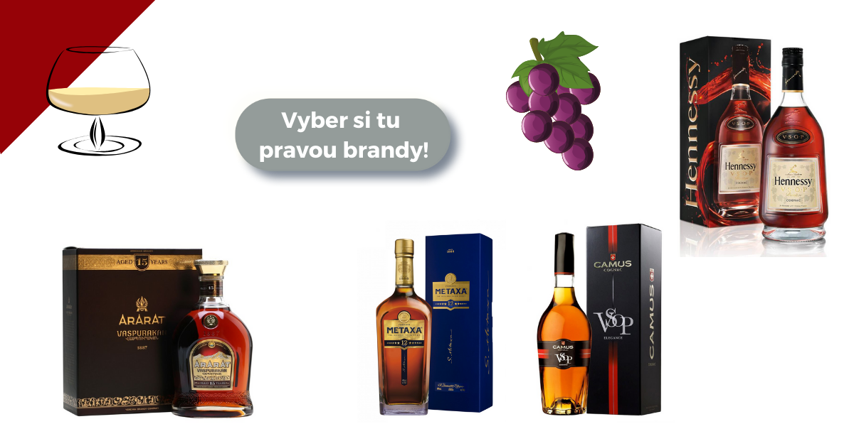 Jak se má pít brandy?